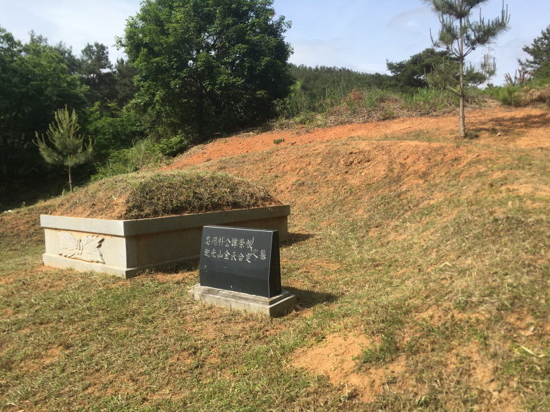 계룡산두꺼비 이미지