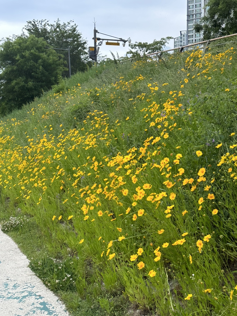 라쿵푸마라탕수완점 이미지