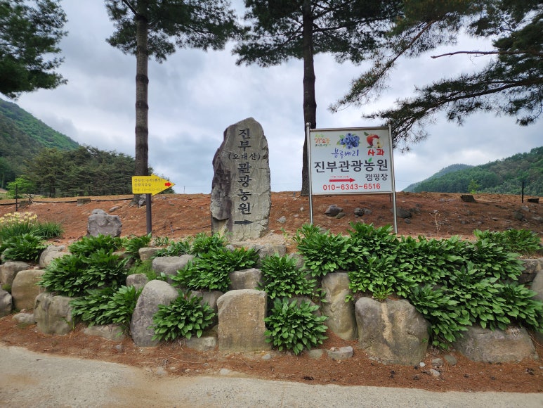 진부(오대산)관광농원 이미지