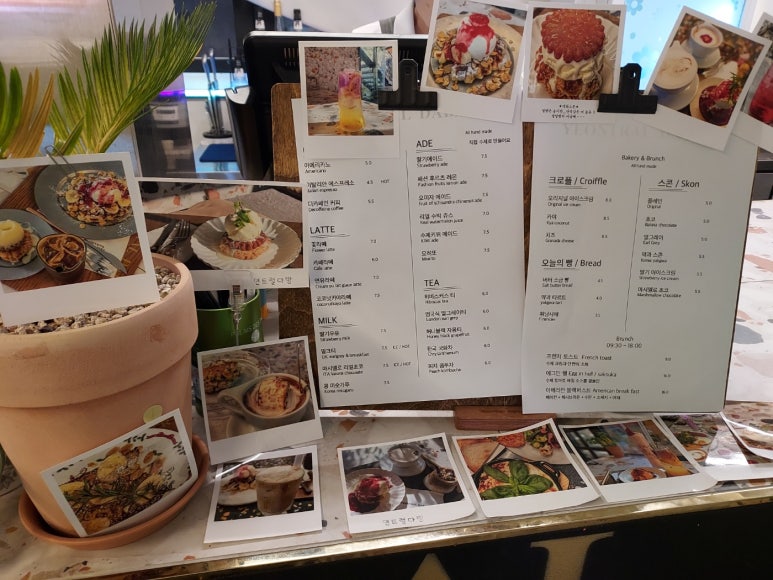 동물다방 이미지