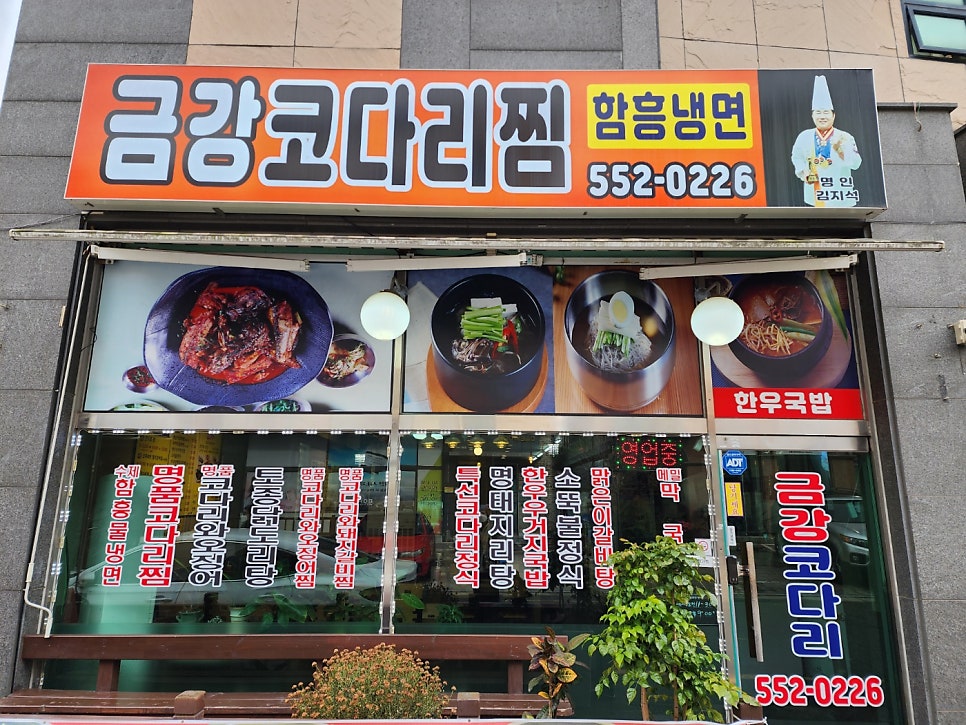 금강코다리 이미지