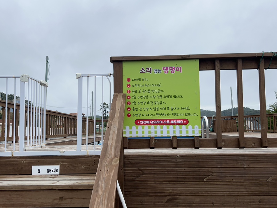안면도 애견펜션 소라잡는댕댕이: 넓은 운동장 & 수영장 후기 — 사진 9