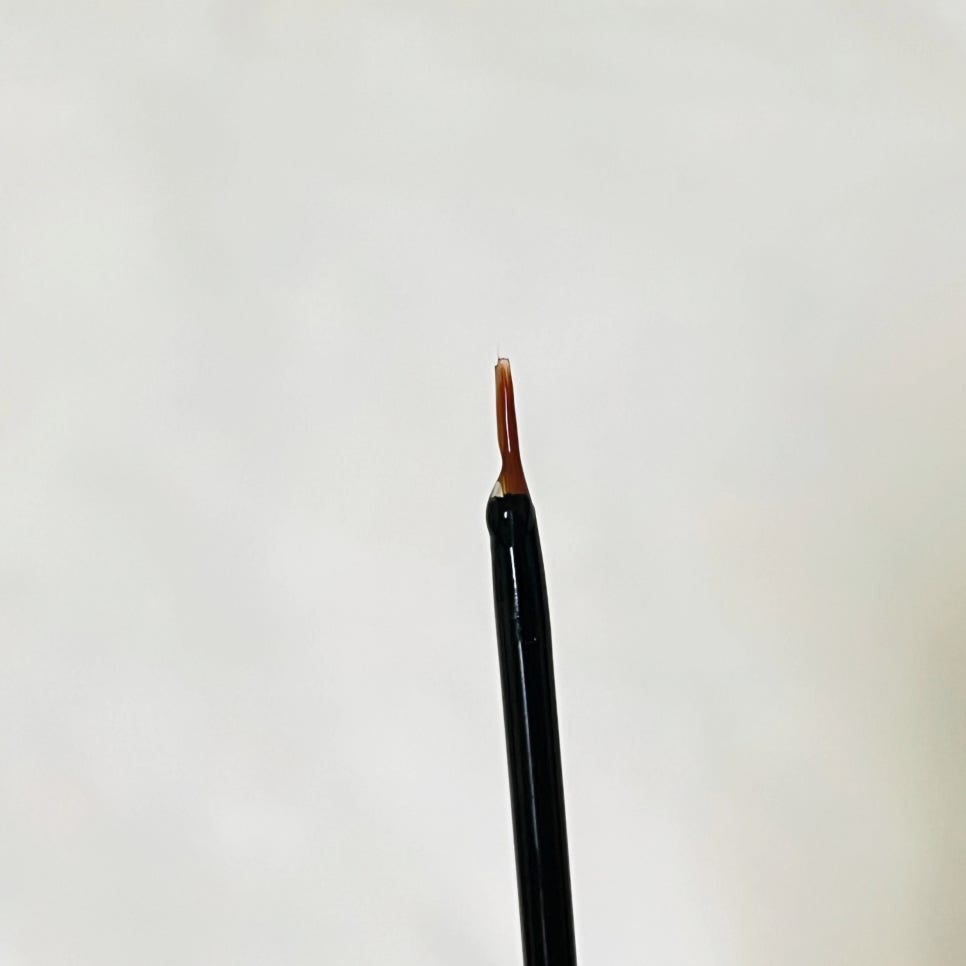 모모속눈썹 이미지