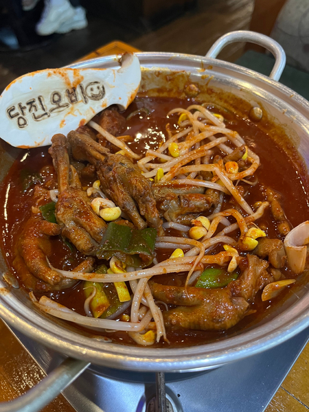 오비(OB)캠프 이미지