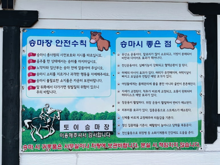 제주토이승마장 이미지
