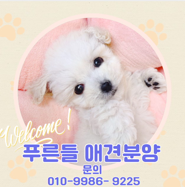 푸른들동물병원 이미지