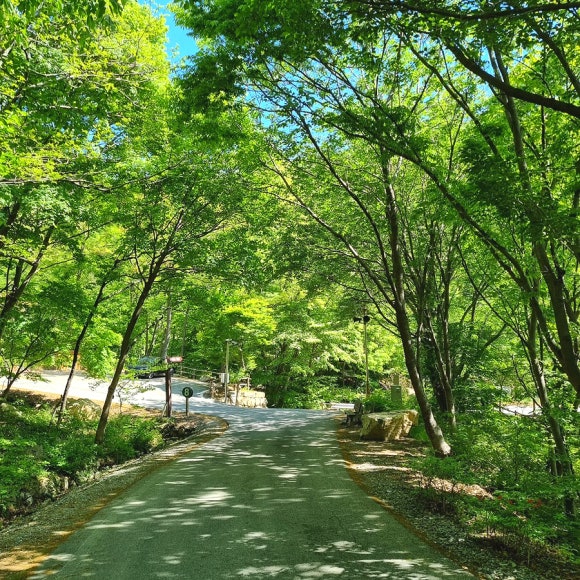 방장산자연휴양림 이미지