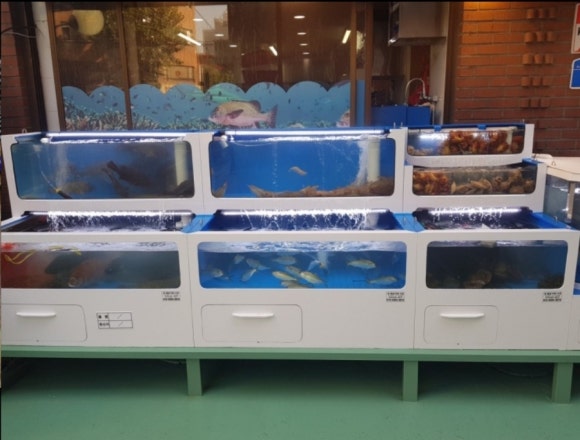 바다애 사진 2