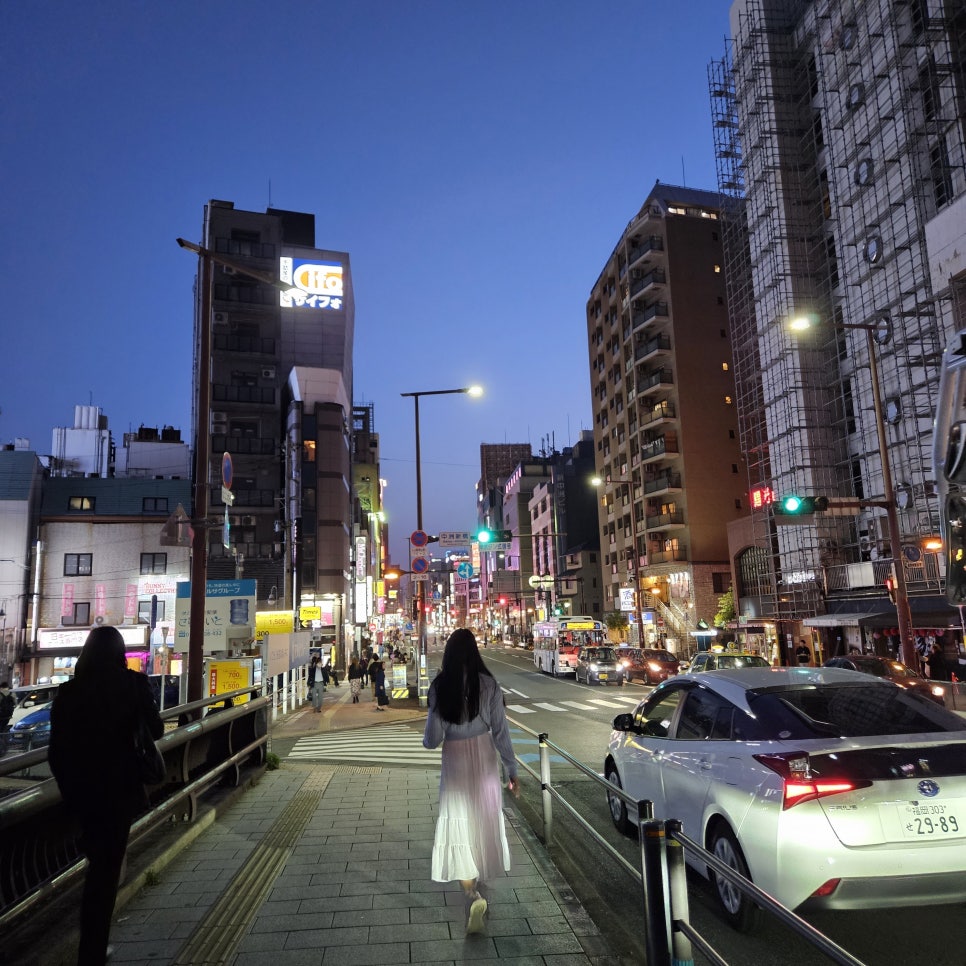 금상투어 이미지