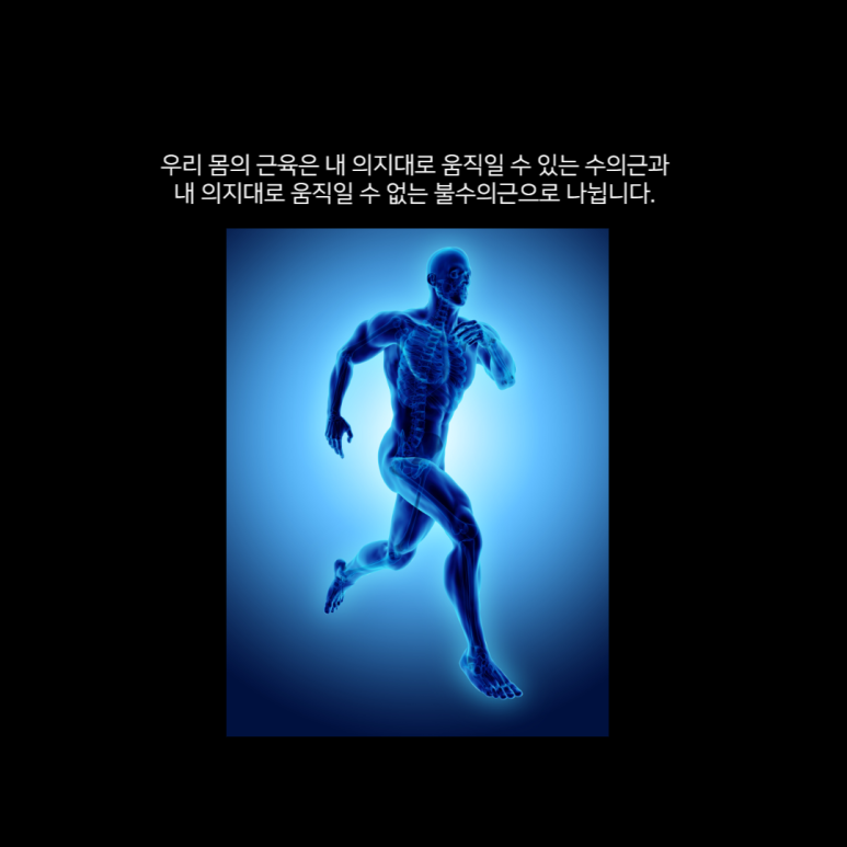 피트니스다이브 이미지