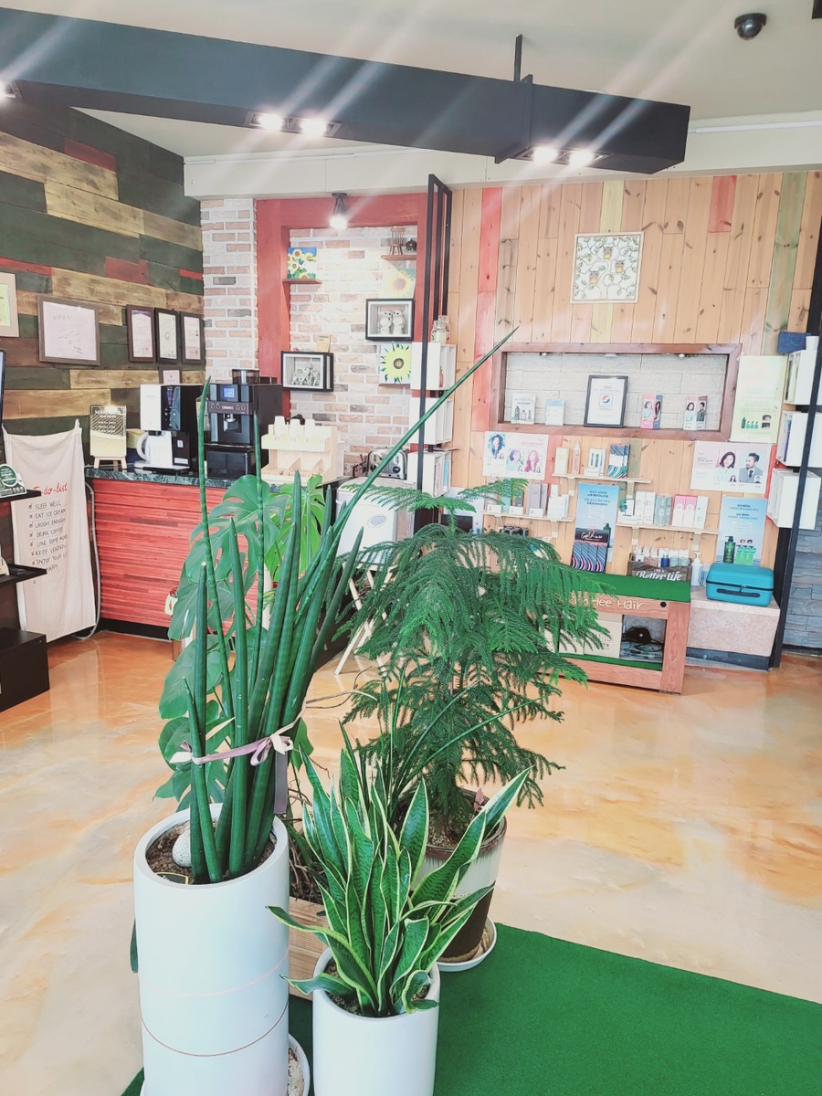 H hair 이미지