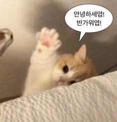 민초컴퍼니 이미지