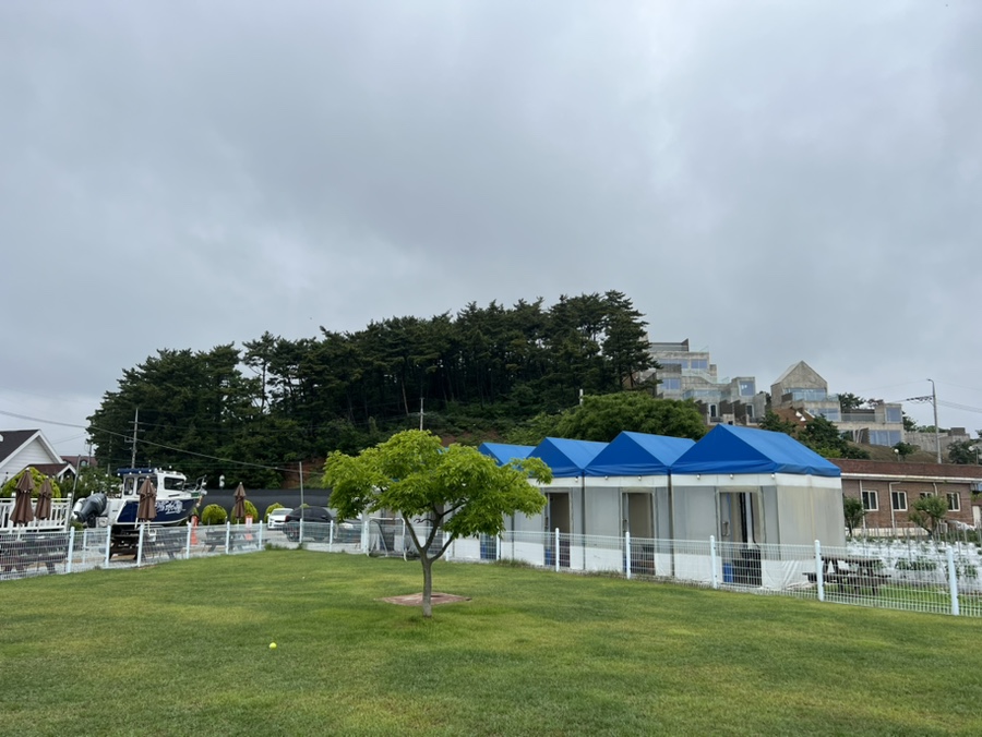 안면도 애견펜션 소라잡는댕댕이: 넓은 운동장 & 수영장 후기 — 사진 5