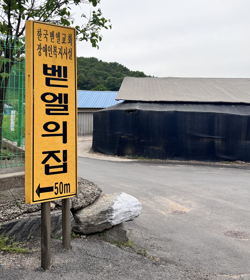 벧엘꽃 이미지