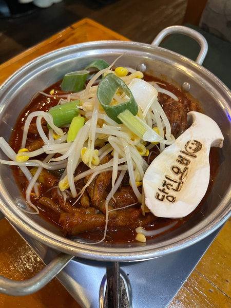 오비(OB)캠프 이미지