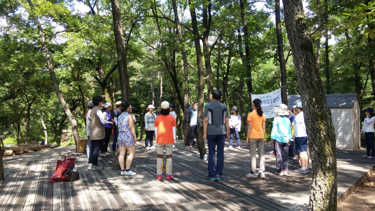 에코숲이야협동조합 이미지