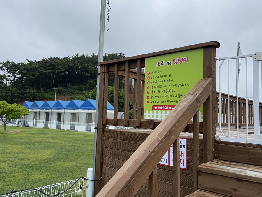 안면도 애견펜션 소라잡는댕댕이: 넓은 운동장 & 수영장 후기 — 사진 7