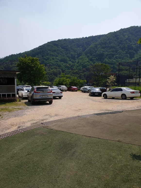 가성그린 이미지