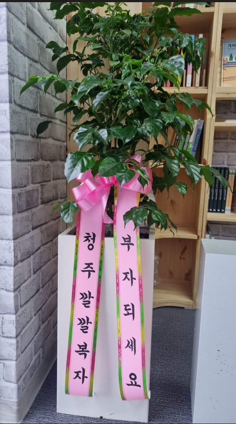 오색그림책방 이미지