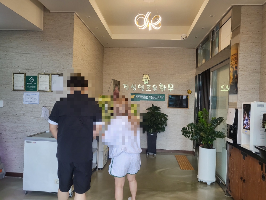 엘로우한우 이미지