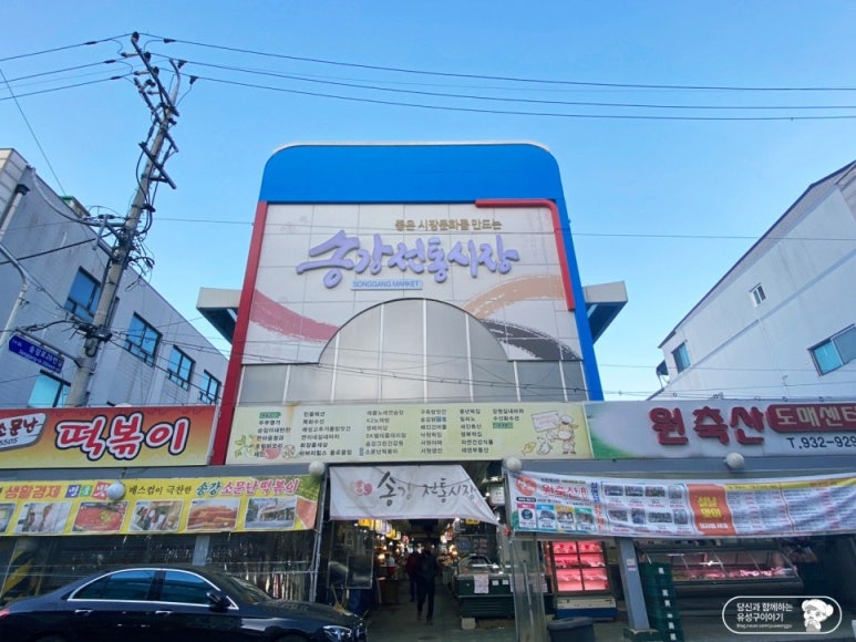 송강하늘 이미지
