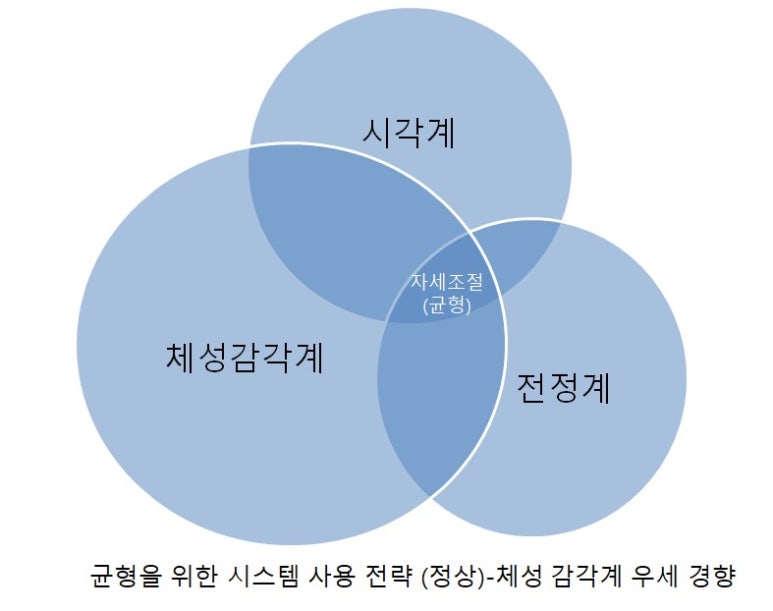 기능동작아카데미 이미지