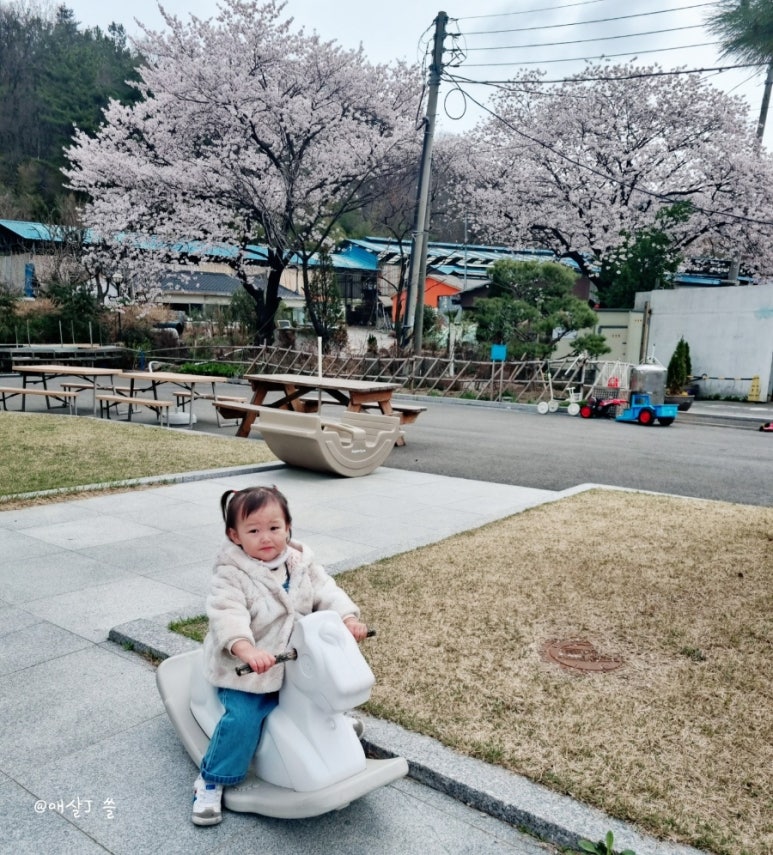 본치즈어리 이미지