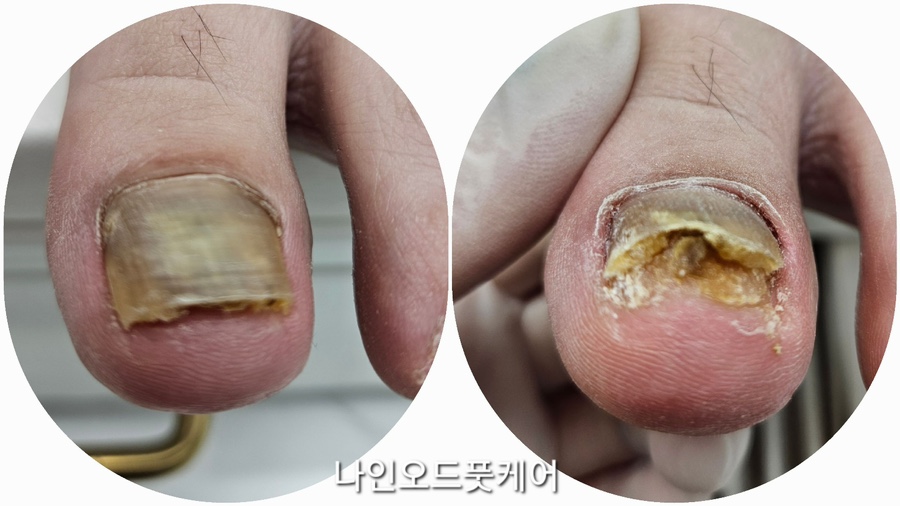 샵나인 이미지