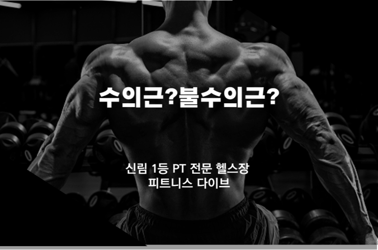 피트니스다이브 이미지