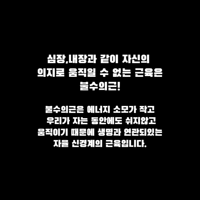 피트니스다이브 이미지