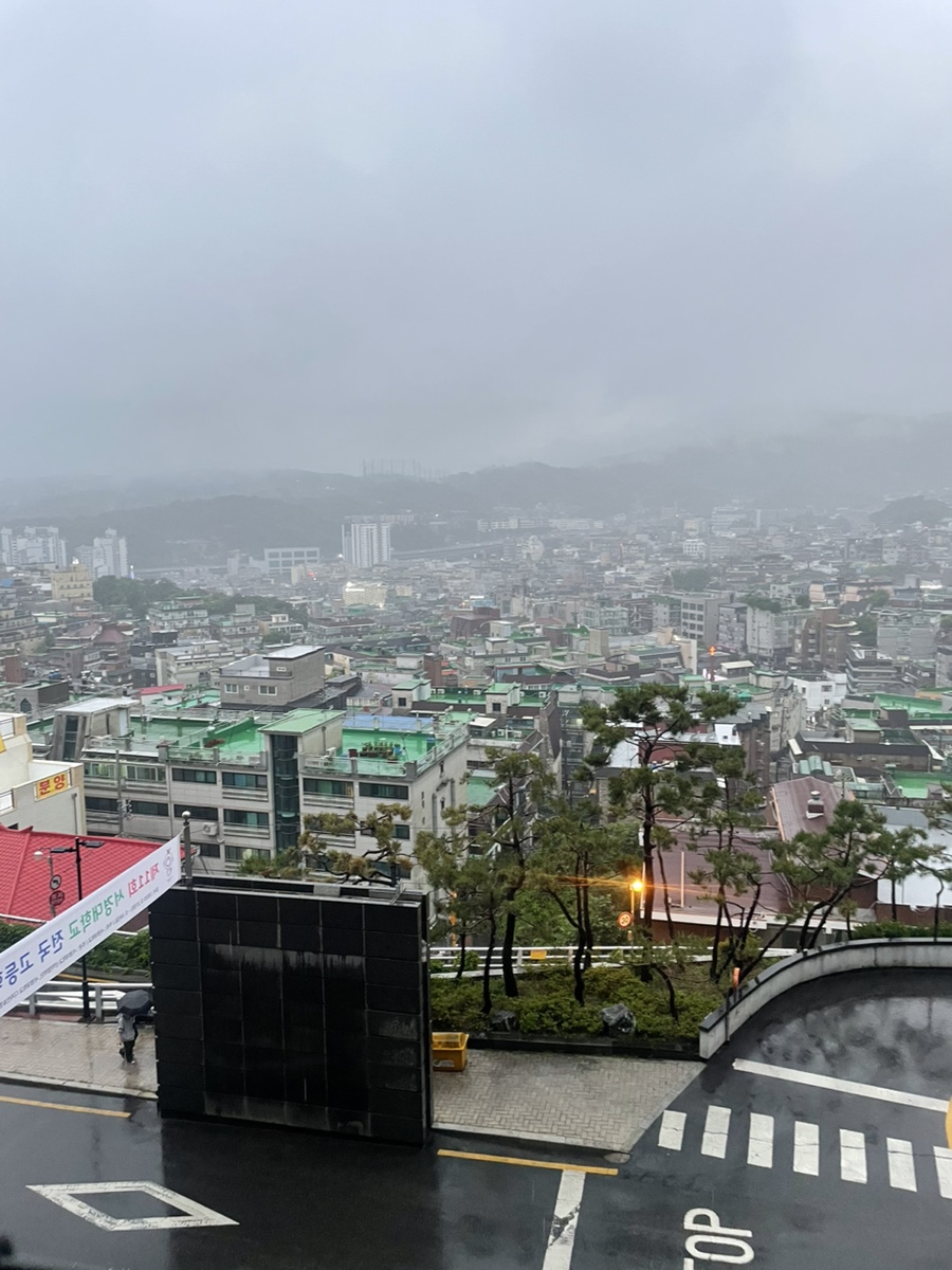 돈파렐라 이미지