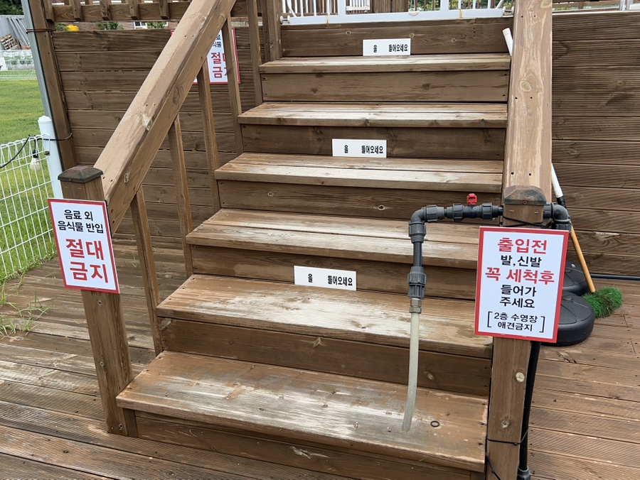 안면도 애견펜션 소라잡는댕댕이: 넓은 운동장 & 수영장 후기 — 사진 8