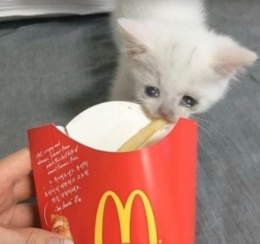 호야짬뽕 이미지