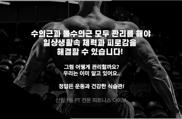 피트니스다이브 이미지