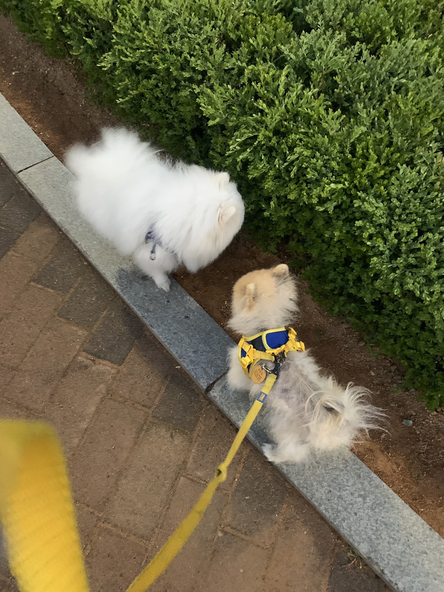 김호두 이미지