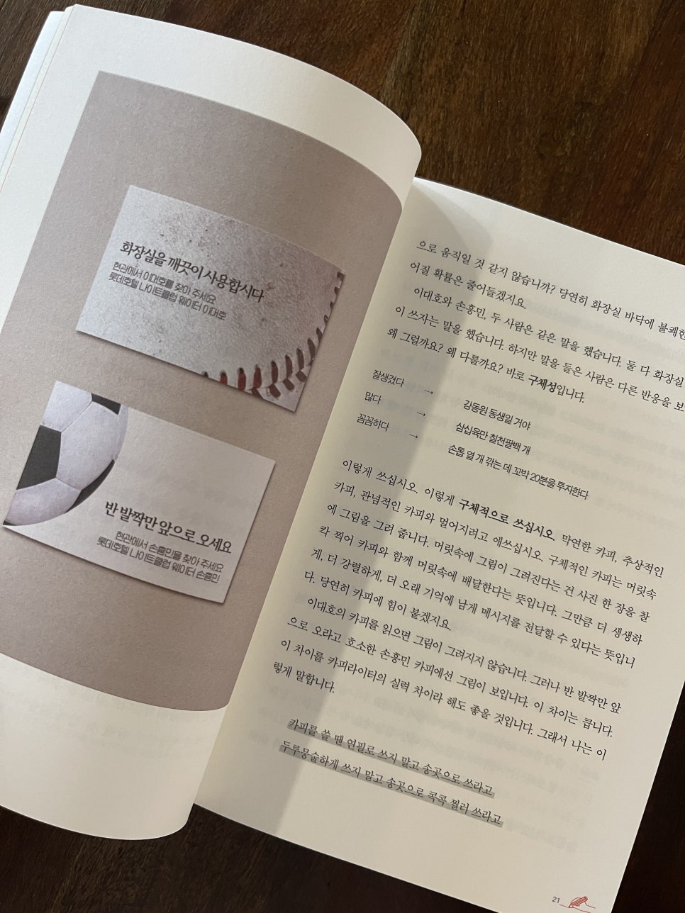 카피온 이미지