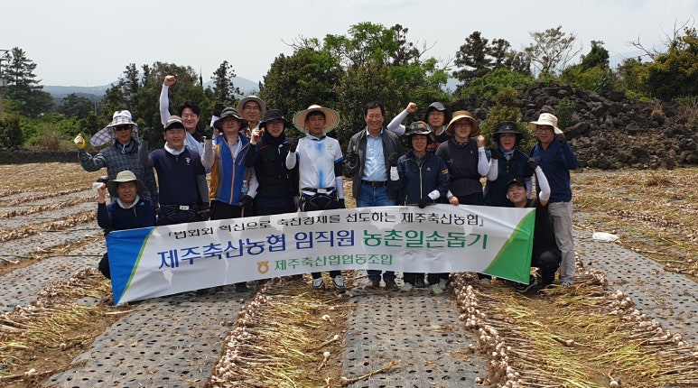 제주축산 이미지