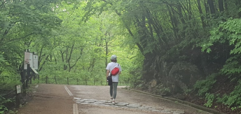 그리스텔 이미지
