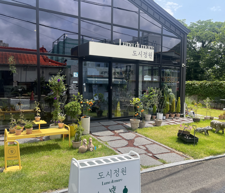 루나디마레 이미지
