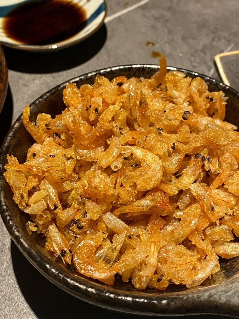 진도켄 이미지