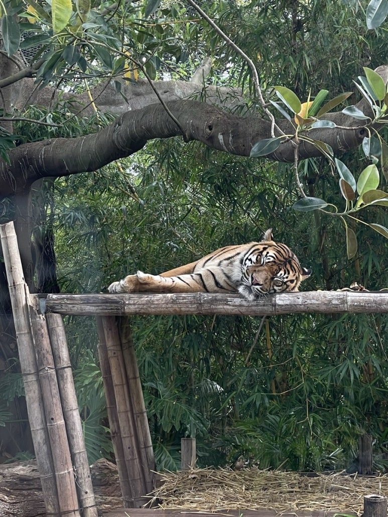 근아 이미지