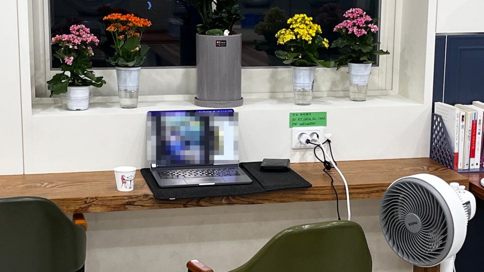 워시앤조이대전 이미지