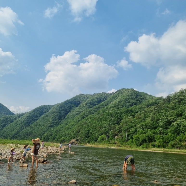 도담오토캠핑장 이미지