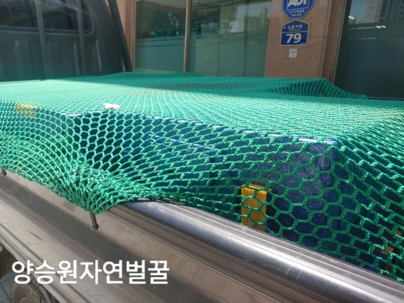 마이비양봉 이미지