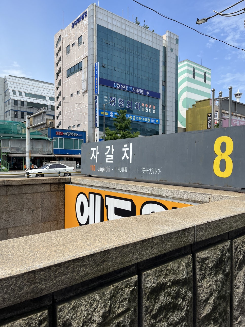 황금숙녀복 이미지
