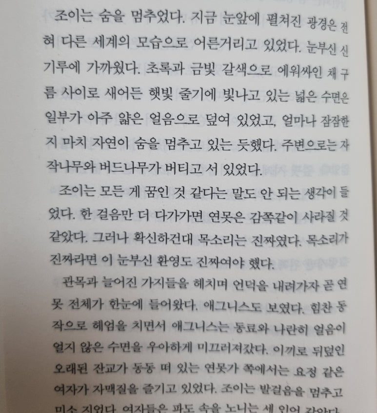 새라조이 이미지