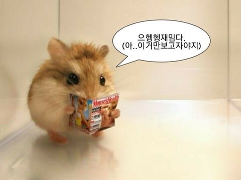 벌툰파리지앵김량장점 이미지