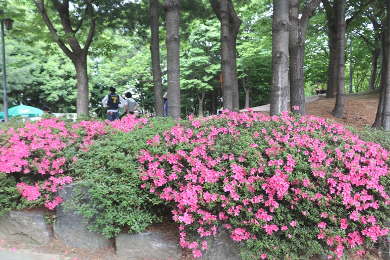 텃밭운남 이미지