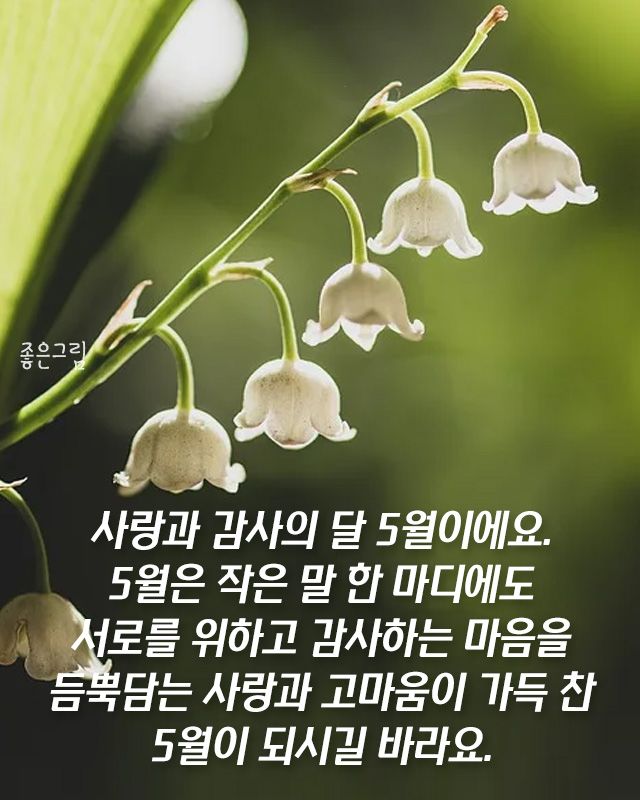 오월의숲 이미지