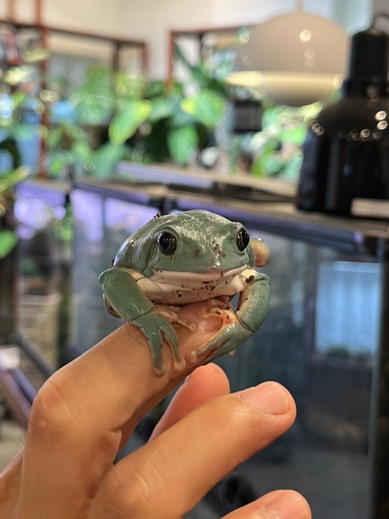 마이온네이처 이미지